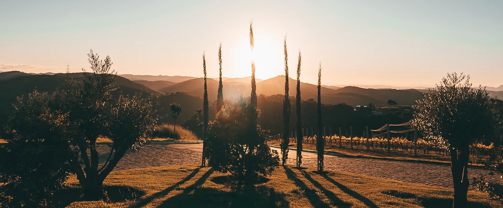 Pôr do sol atrás dos ciprestes do Borgo Del Vino